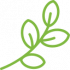 branch